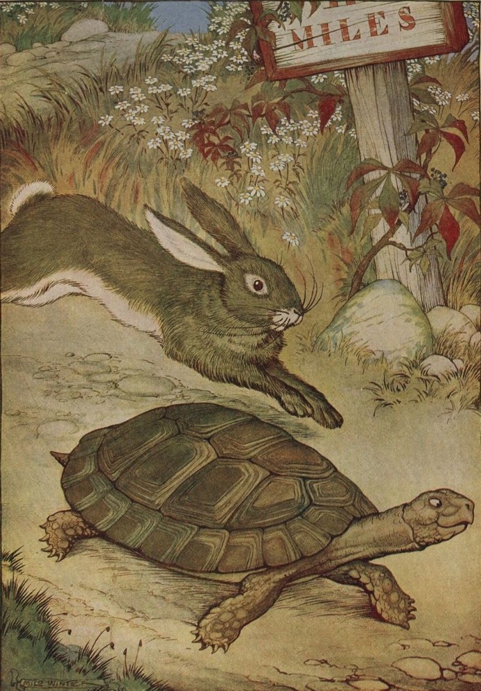 tortoise and the hare blind